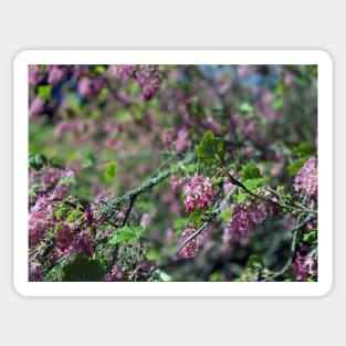 Spring Flowers Sticker